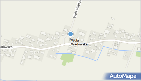 Bożena Stefanowicz- Walas Drew-MIX, Wola Wadowska 72a 39-308 - Przedsiębiorstwo, Firma, NIP: 8171787755