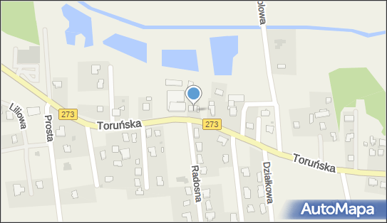 Bożena Zakierska Przedsiębiorstwo Produkcyjno - Handlowo - Usługowe , Witpol 87-103 - Przedsiębiorstwo, Firma, NIP: 9561599217