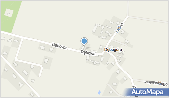 BP Trop Bożena Urbaniak, Dębowa 4, Dębogóra 62-006 - Przedsiębiorstwo, Firma, NIP: 9720531931