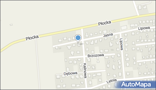 BPV-Projekt Sławomir Trojanowski - Piotr Orłowski - Marek Krankiewicz 09-442 - Przedsiębiorstwo, Firma, NIP: 7741287033