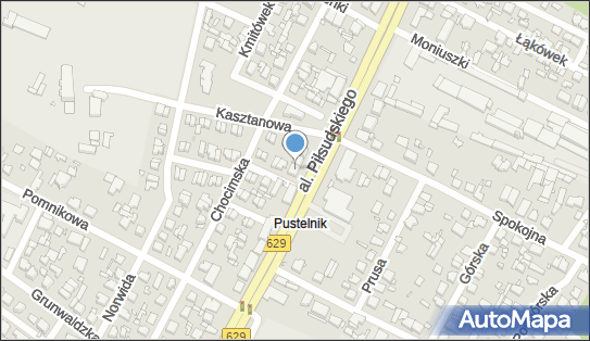 Bronga Łukasz Czyżkowski, al. marsz. Józefa Piłsudskiego 143 05-270 - Przedsiębiorstwo, Firma, NIP: 5242584438