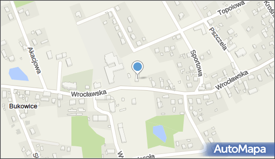 9111083011, Punkt Apteczny Bronisława Pawlak 