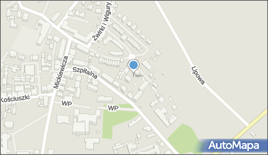 Brudkowski, Szpitalna 5c, Kamień Pomorski 72-400 - Przedsiębiorstwo, Firma, NIP: 9860050574