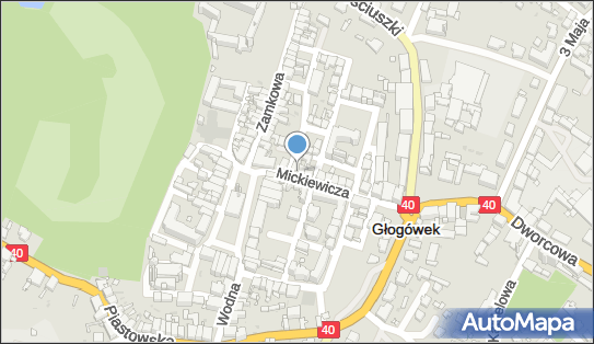 Brygida Kaufman - Działalność Gospodarcza, ul. Mickiewicza 5 48-250 - Przedsiębiorstwo, Firma, numer telefonu, NIP: 7551040111