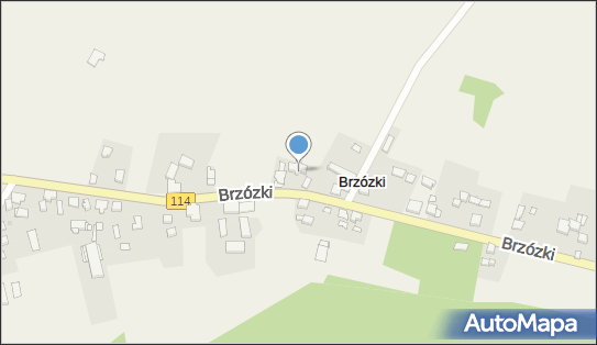 8513114902, Brzózki w Europie 