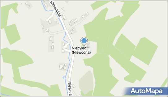 Brzykowska Anna, Niewodna 22, Niewodna 38-124 - Przedsiębiorstwo, Firma, NIP: 8190000130