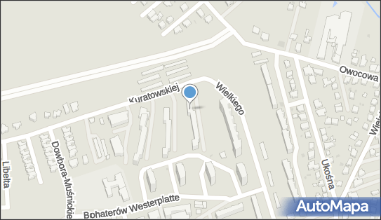 BSW Connection, ul. Adolfa Warskiego 13, Gorzów Wielkopolski 66-400 - Przedsiębiorstwo, Firma, numer telefonu, NIP: 5993014368