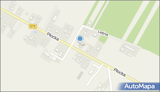 Budmix Agnieszka Domżałowicz, Płocka 14, Słubice 09-533 - Przedsiębiorstwo, Firma, NIP: 9710531786