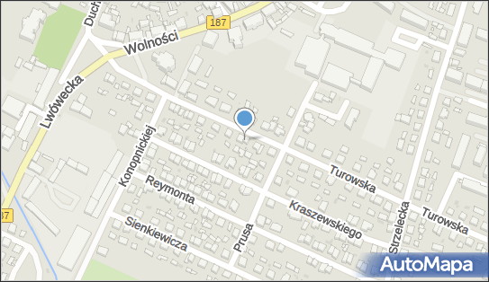 Budoelektrik, Turowska 39a, Pniewy 62-045 - Przedsiębiorstwo, Firma