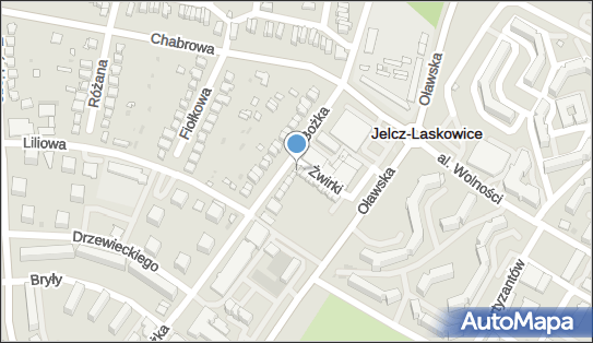 Bukieciarnia Kamelia, ul. Józefa Bożka 1A, Jelcz-Laskowice 55-220 - Przedsiębiorstwo, Firma, numer telefonu, NIP: 9121030080