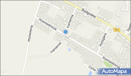 Bukowski Mikołaj P.H.U.Bukowski, ul. Rzemieślnicza 20 86-070 - Przedsiębiorstwo, Firma, NIP: 5541837054