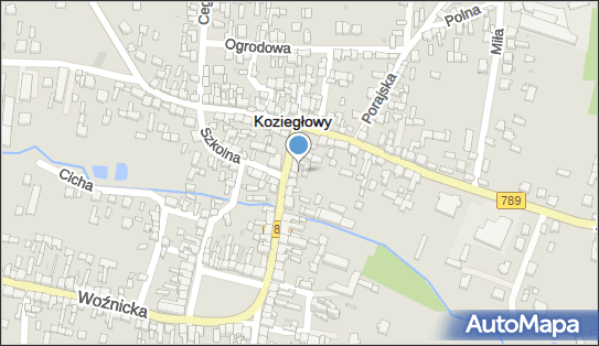 Butle z helem do balonów Sklep internetowy Helium Leader 42-350 - Przedsiębiorstwo, Firma, numer telefonu