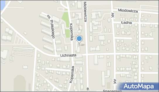 Cafe Grota, ul. Adama Mickiewicza 14 A, Busko-Zdrój 28-100 - Przedsiębiorstwo, Firma, NIP: 6551243807