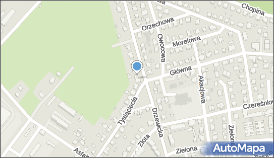 Caffe 77, Drzewicka 17, Kostrzyn nad Odrą 66-470 - Przedsiębiorstwo, Firma, NIP: 5981267046