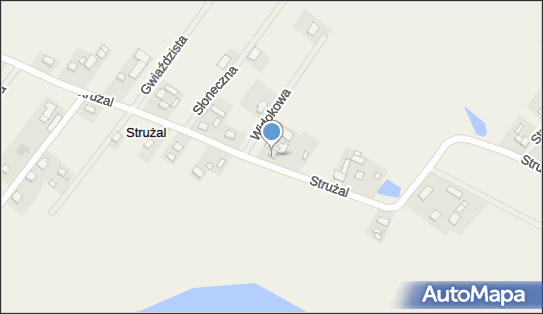 Car Fox Michał Lis, Strużal 11, Strużal 87-140 - Przedsiębiorstwo, Firma, NIP: 8792695239