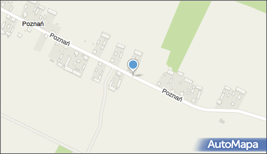 Cargospedex, Poznań, Poznań - Przedsiębiorstwo, Firma, NIP: 7831681928