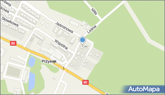 Cefibak Zajączkowski Sławomir, ul. Leśna 8, Przysiek 87-134 - Przedsiębiorstwo, Firma, NIP: 9561924628