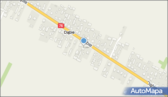 Celej Robert Organmistrzostwo, Dąbie 49, Dąbie 21-400 - Przedsiębiorstwo, Firma, NIP: 8251919377