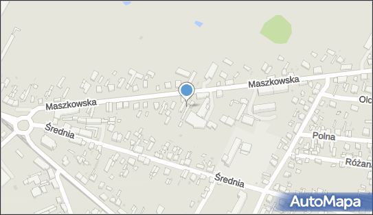 Centrum Edukacyjno Artystyczne Fantazja, ul. Maszkowska 25, Ozorków 95-035 - Przedsiębiorstwo, Firma, NIP: 7321432497