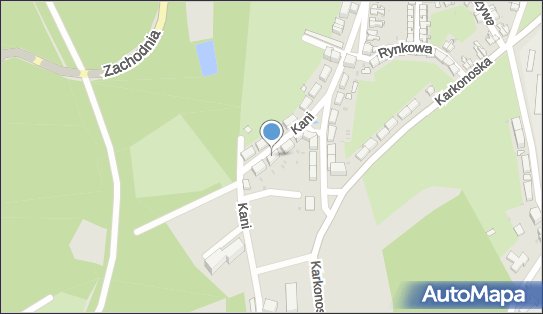 Centrum Informacji i Aktywizacji Zawodowej Osób Niepełnosprawnych Cegiełka 58-305 - Przedsiębiorstwo, Firma, numer telefonu