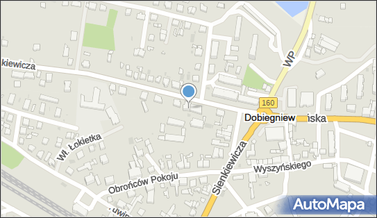 Centrum Integracji Społecznej w Dobiegniewie, Mickiewicza Adama 3 66-520 - Przedsiębiorstwo, Firma, numer telefonu