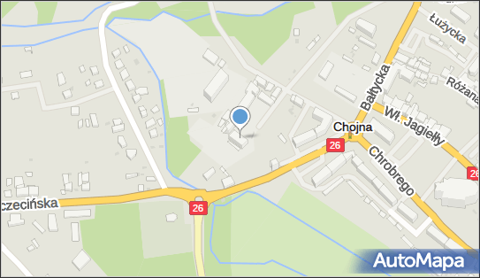 8581850097, Centrum Placówek Opiekuńczo-Wychowawczych w Chojnie 