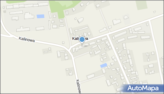 Centrum Pojazdów Ciężarowych, Kalinowa 107, Kalinowa 98-235 - Przedsiębiorstwo, Firma, NIP: 8271395440