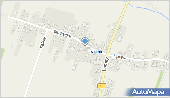 Centrum Pracy z Psem Songo, ul. Strażacka 7, Tanina 42-284 - Przedsiębiorstwo, Firma, NIP: 5761479964