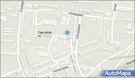 Centrum Zajęć Pozaszkolnych nr 3, ul. Olimpijska 9, Łódź 94-043 - Przedsiębiorstwo, Firma, numer telefonu, NIP: 7271062198
