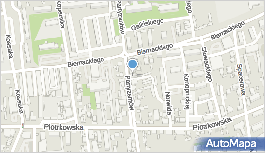 Centrum Zdrowia i Urody NZOZ Centrum, Partyzantów 16A, Opoczno 26-300 - Przedsiębiorstwo, Firma, numer telefonu, NIP: 7681103761