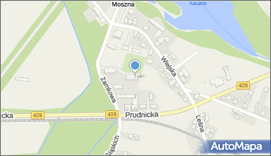 1990093342, Coco Cerf Jakub Sadanowicz 