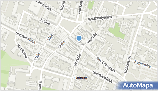 Cezex Cezary Stępień, św. Leonarda 19, Kielce 25-304 - Przedsiębiorstwo, Firma, NIP: 6571207269