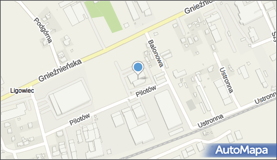 Chem Trend Polska, Pilotów 19, Janikowo 62-006 - Przedsiębiorstwo, Firma, numer telefonu, NIP: 7772959031