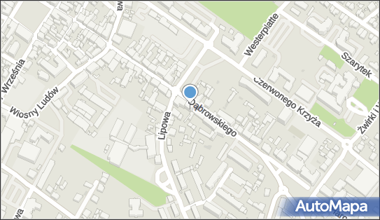 Chilli Kuchnie Świata, Dąbrowskiego Henryka, gen. 33 63-000 - Przedsiębiorstwo, Firma, numer telefonu, NIP: 7861693758