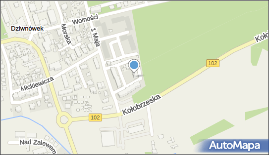 Chudy Jerzy Rybołówstwo Morskie Jerzy Chudy, ul. 1 Maja 2 72-420 - Przedsiębiorstwo, Firma, NIP: 8571510023