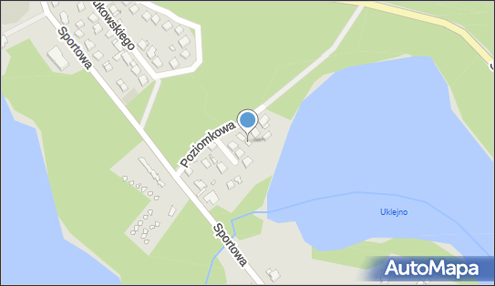 Chyłkowska Lidia Folk Flora, ul. Poziomkowa 4A, Barlinek 74-320 - Przedsiębiorstwo, Firma, NIP: 1230924441