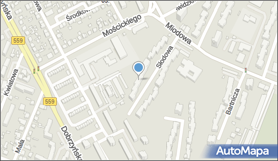 Cichocki Piotr, Słodowa 4, Płock 09-400 - Przedsiębiorstwo, Firma, NIP: 7761618243