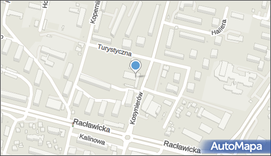Cichocki Roman Elwod, ul. Kosynierów 17B, Świdnik 21-040 - Przedsiębiorstwo, Firma, NIP: 7131010439