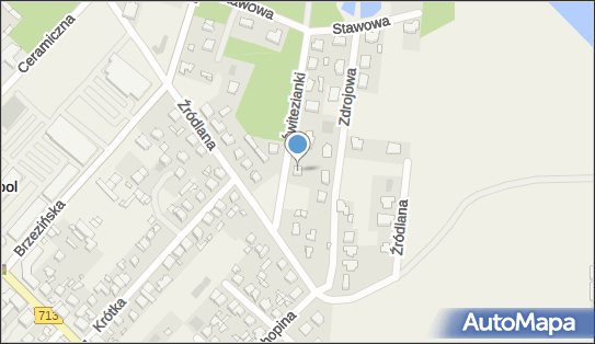 Cis Med, Świtezianki 5, Andrespol 95-020 - Przedsiębiorstwo, Firma, NIP: 7291867114