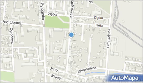 4980003362, Tomasz Cisek 