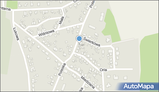 Claudius Klaudiusz Jaworski, Poleska 36, Gubin 66-620 - Przedsiębiorstwo, Firma, NIP: 9261239093