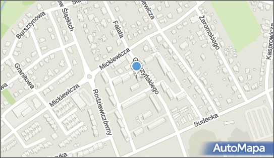 Clematis Katarzyna Drewniany, Nysa 48-304 - Przedsiębiorstwo, Firma, NIP: 7531213904