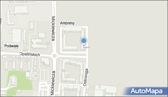 Collintel Sp. z o. o., Ostroroga Jana 72, Leszno 64-100 - Przedsiębiorstwo, Firma, numer telefonu