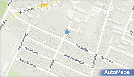 Con-Wit- Witold Jójka, Turowska 5, Pniewy 62-045 - Przedsiębiorstwo, Firma, NIP: 7871314030