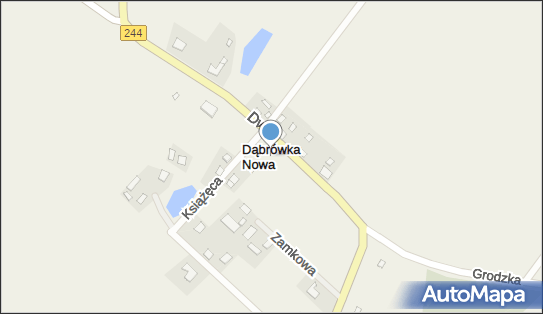 Correct Adrian Ziomkowski, ul. Szlachecka 9, Dąbrówka Nowa 86-014 - Przedsiębiorstwo, Firma, NIP: 5581213288