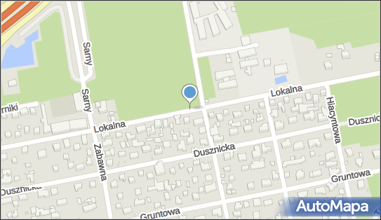 1131883957, Cross Culture Usługi Językowe, Karolina Krawczyk 