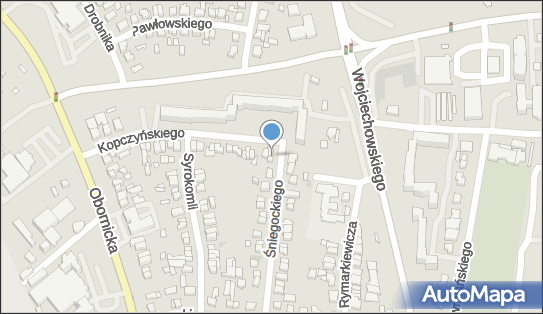 Cymes Przedsiębiorstwo Handlowe, Śniegockiego Henryka 17, Poznań 60-681 - Przedsiębiorstwo, Firma, NIP: 7780158593