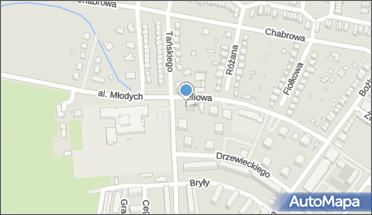 Czaczkowski Ł., Jelcz-Laskowice, ul. Tadeusza Tańskiego 22 55-220 - Przedsiębiorstwo, Firma, NIP: 8982100545