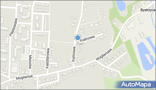 Czajka Tomasz, Kalinowa 6, Trzemeszno 62-240 - Przedsiębiorstwo, Firma, numer telefonu, NIP: 5571021498