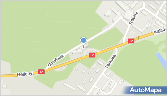 Czarnuszka Mirosław Rajkowski., Helleny 2, Opatówek 62-860 - Przedsiębiorstwo, Firma, NIP: 6180009513
